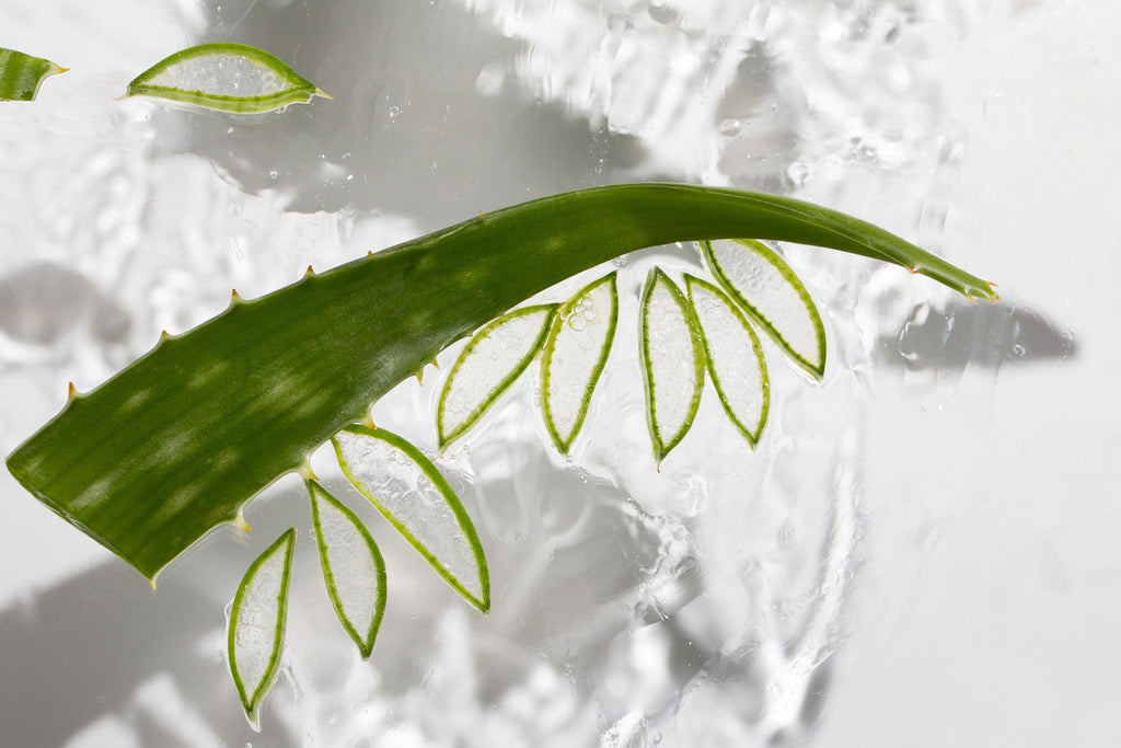 Holika Holika Aloe Hydro Formula 96% Feuchtigkeitsgel in 250 ml, leichtes, beruhigendes Aloe Vera Gel auf der Haut.