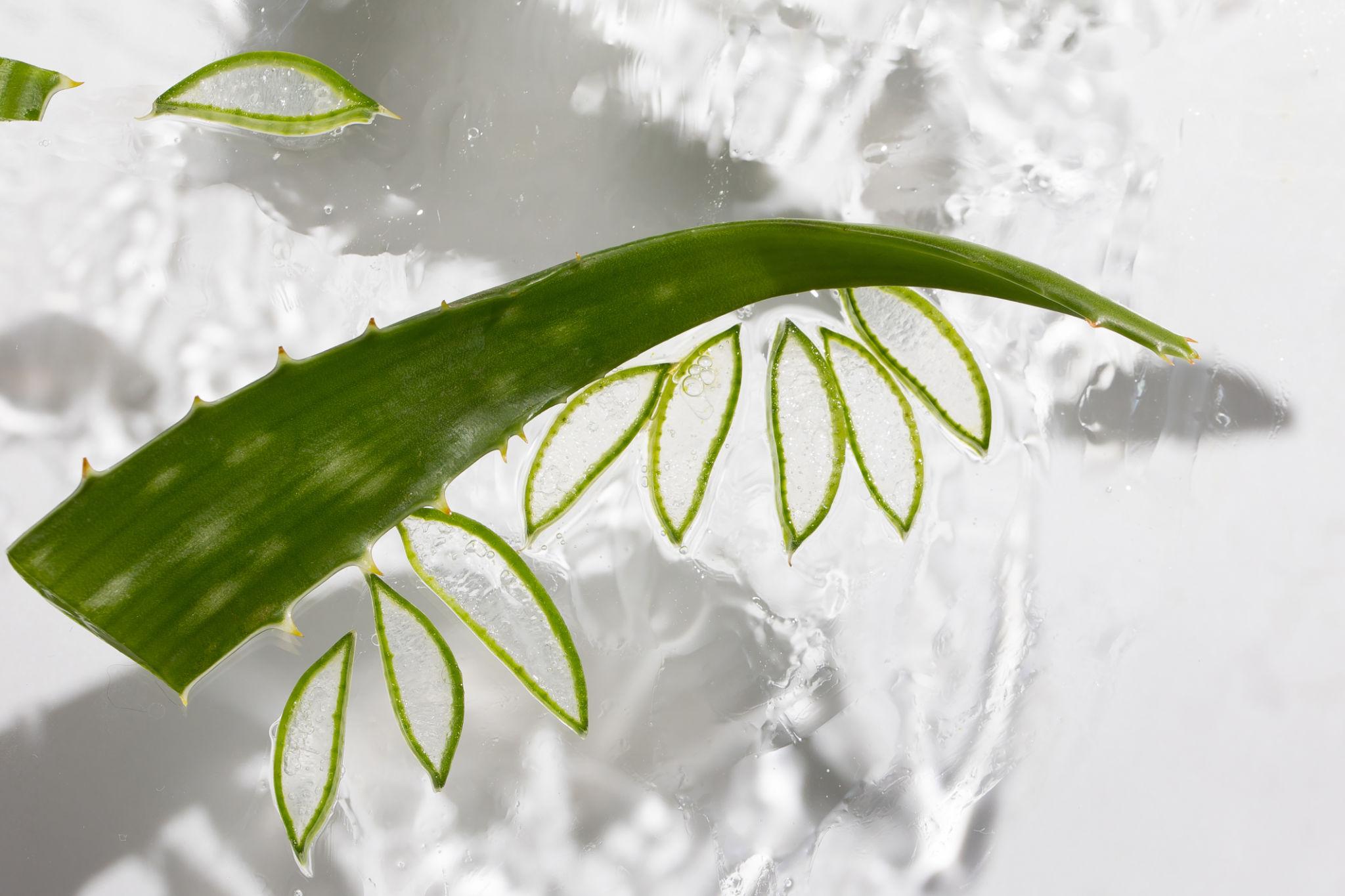 Holika Holika Aloe Hydro Formula 96% Feuchtigkeitsgel in 250 ml, leichtes, beruhigendes Aloe Vera Gel auf der Haut.