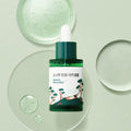 Round Lab Pine Calming Cica Ampoule in 30 ml Flasche, beruhigende Kiefer-Cica für Akne-Haut, feuchtigkeitsspendende Ampoule
